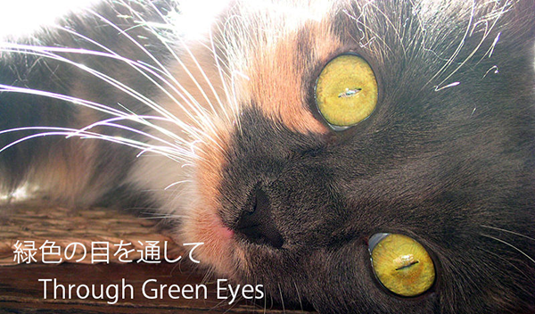 through_green_eyes-wp